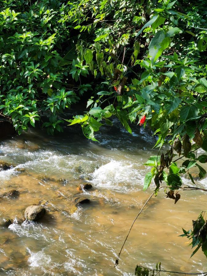 Hospedaria E Camping Quintal Do Mundo Lumiar Luaran gambar